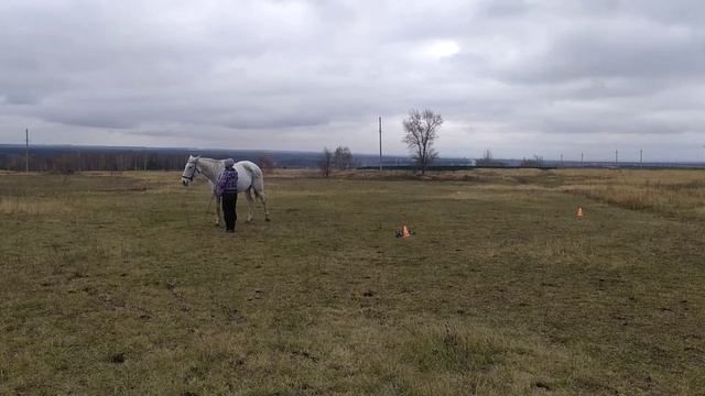 Гимнастика. Домашние задания 4 смотреть онлайн