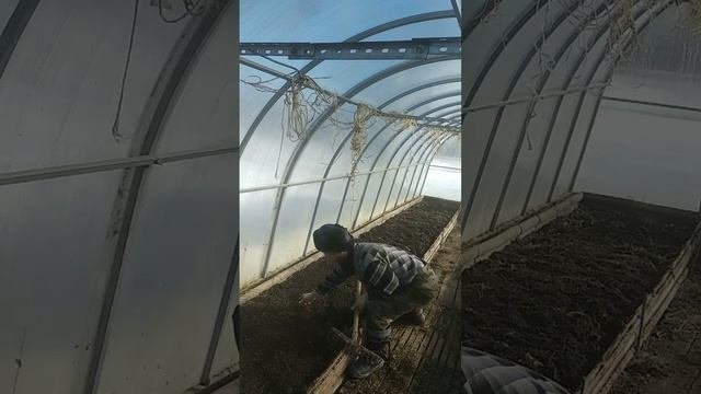 #Работа_в_теплице