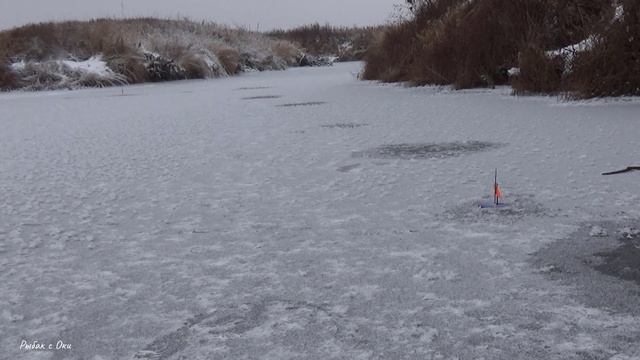 Всю Рыбалку Сделал БАЛАНСИР! Зимняя Рыбалка на Балансир-Жерлицы 2022-2023. смотреть онлайн