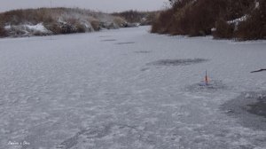 Всю Рыбалку Сделал БАЛАНСИР! Зимняя Рыбалка на Балансир-Жерлицы 2022-2023.