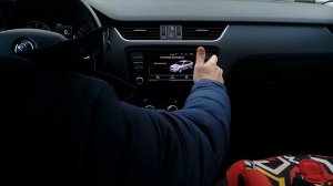 Skoda: Скрытые функции Bolero (2020)