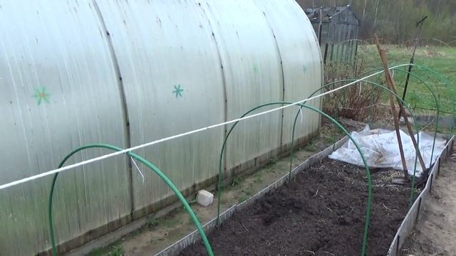 май 2017г Посадка рассады картофеля в ОГ. часть2. смотреть онлайн