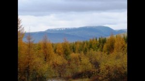 поселок ягодное магаданская область колымский край ягодное
