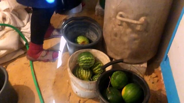 Бродячие арбузы. Свекровь передала старинный способ засолки смотреть онлайн