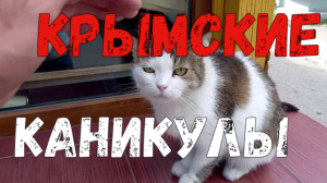Крым сезон 2022. Кошка и коты, бесстыдницы в лесу