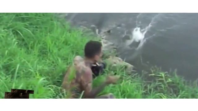 Фотографав укусил крокодил!! Шок!!! смотреть онлайн