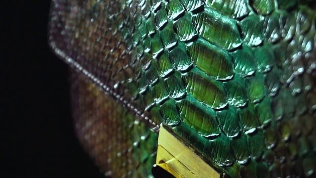 Экзотика, кожа питона, патинаж. Изготовлено на заказ. Exotics, python leather, patinated, bespoke.