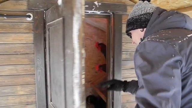 Зимний обзор утепленного мини курятника. смотреть онлайн