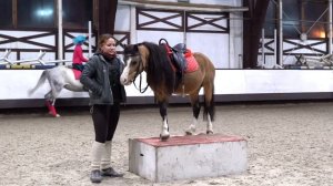 Как научить пони вставать на тумбу? Онлайн школа лагеря Эклектика