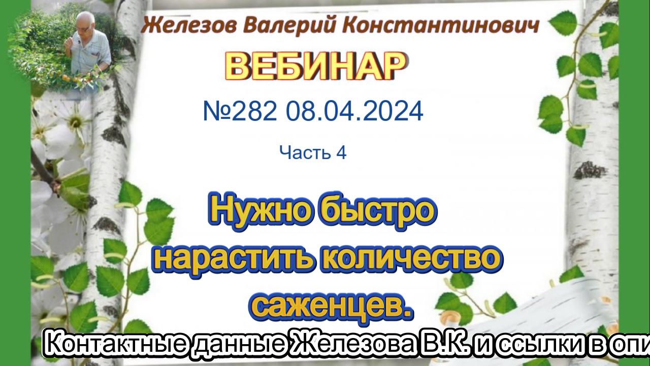 Железов вебинары