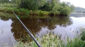 Щука взяла прям под берегом !