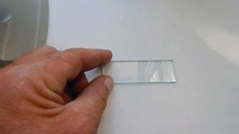 Учимся пользоваться микроскопом