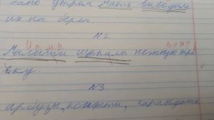 Проверяю контрольный диктант по русскому языку 3 класс