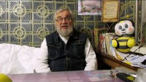 ответы на вопросы - какой холстик выбрать для пчел и почему