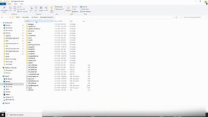 How to delete shader cache in FS22, farming simulator 22