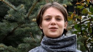 Стафоршиские терьер | Вся правда о породе