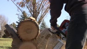 Stihl MS241C Chainsaw Ported