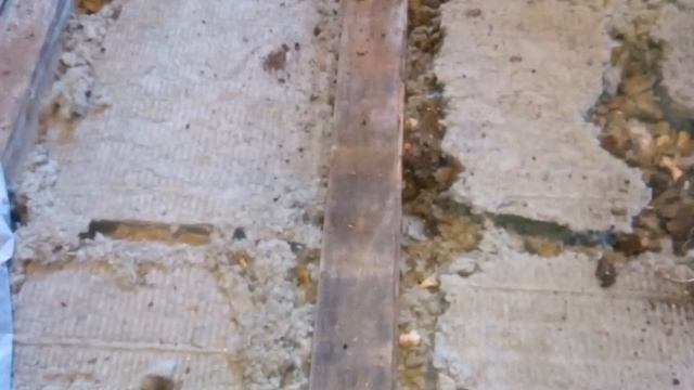 Каменная вата или как крысы в нем себя чувствуют смотреть онлайн