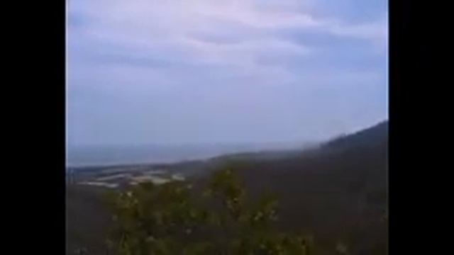 "TANGO DELLE CAPINERE" /TANGO OF THE BLACKCAP/ /Танго капинеры/ смотреть онлайн