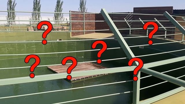 Прогулка в зоопарке. Кормим жирафа смотреть онлайн