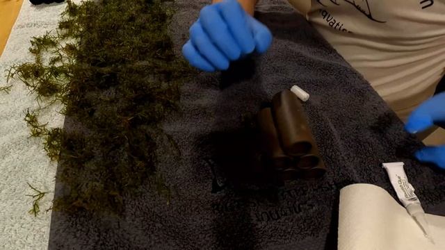 No Substrate Planted Aquarium | Seachem Flourish Glue смотреть онлайн