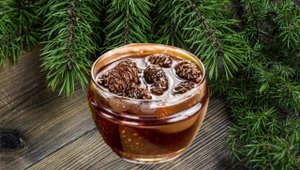Как сделать целебный, сосновый мед