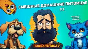 🐱СМЕШНЫЕ ДОМАШНИЕ ПИТОМЦЫ #2!  Подборка топовых видео про животных  2024 год!!!🐱