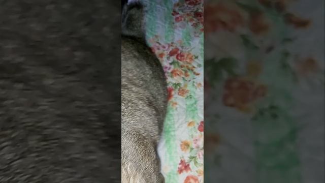 война закончится в 2023 летом смотреть онлайн