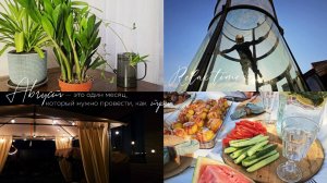Зеленый влог 🌿🪴🌱| Полет в аэротрубе | Мини отпуск | Пикник на природе