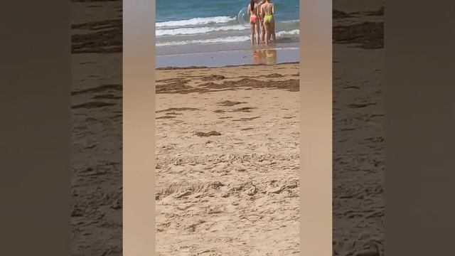 Обзор пляжа Г.Анапа, район Джемете, 01.08.2023г.