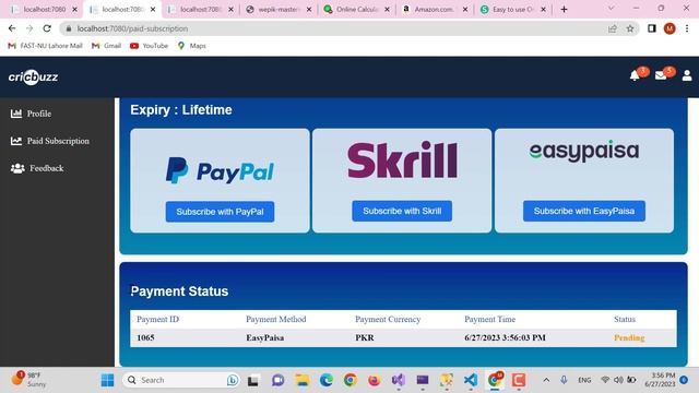 Introduction to Advanced Website Development: HTML, CSS, JS, .NET, and SQL