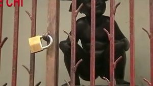 ПИСАЮЩАЯ ДЕВОЧКА.mpg