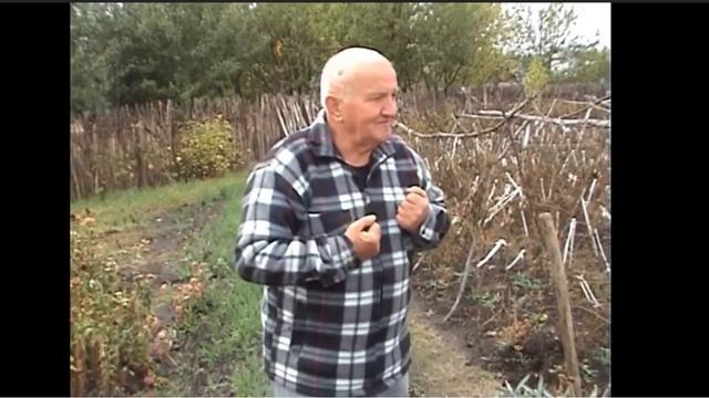 Бублик о поливе смотреть онлайн