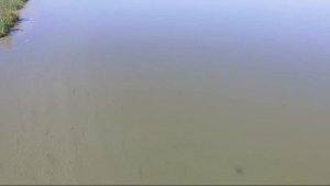 Озеро Белое, Шарыповский район, Красноярский край. Вид с птичьего полета на дроне