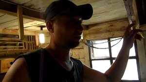 Заработок на волнистых попугаях. Сколько можно заработать?