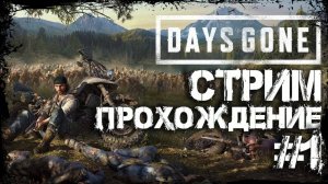 🔴СТРИМ 📢Days Gone Прохождение с нуля!!!🔴