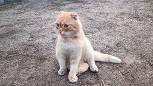 Наше НОВОЕ ПУТЕШЕСТВИЕ. Станица Кумылженская.