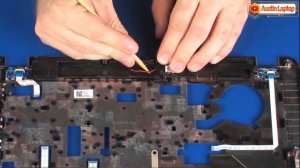 How to replace the Speaker for HP ProBook 440 G4 Laptop