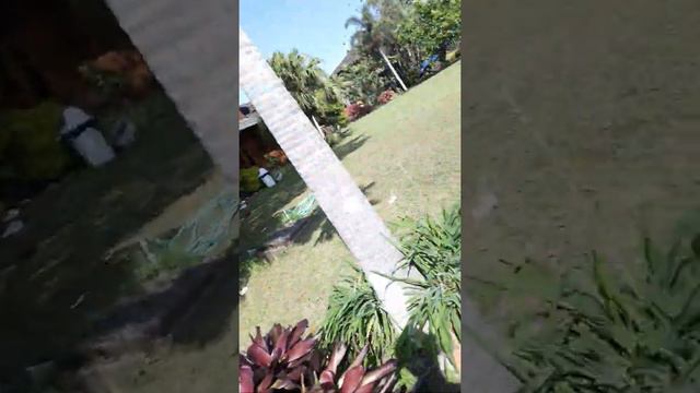 vila gardenia смотреть онлайн