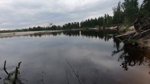 Отличная рыбалка! Крупный Язь на поплавочную удочку. Накормил рыбу. День первый!