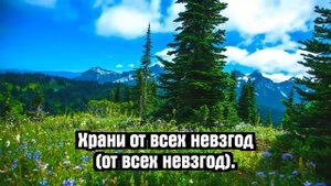 Псалмы Сиона - Благодарю Тебя, Господь