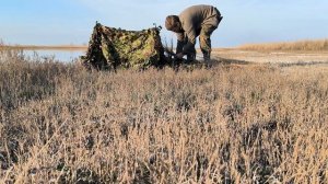 Фотоохота на озерах. Пеликаны, тысячи гусей. Укрытие для съемки птиц