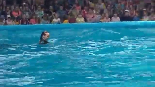 Дельфинарий в Минске смотреть онлайн