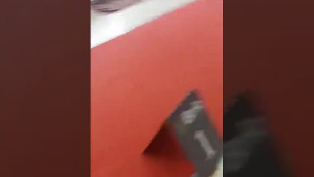 Показательные выступления на выставке Ника 2часть смотреть онлайн