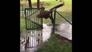 Мужик упал с забора  в лужу и в зорвался ???!!! A man fell into a puddle and burst into a puddle ??
