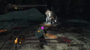 Босс Смотритель Трона; Защитник Трона. Dark Souls II