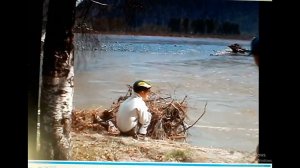 14  2005год, г. Абаза