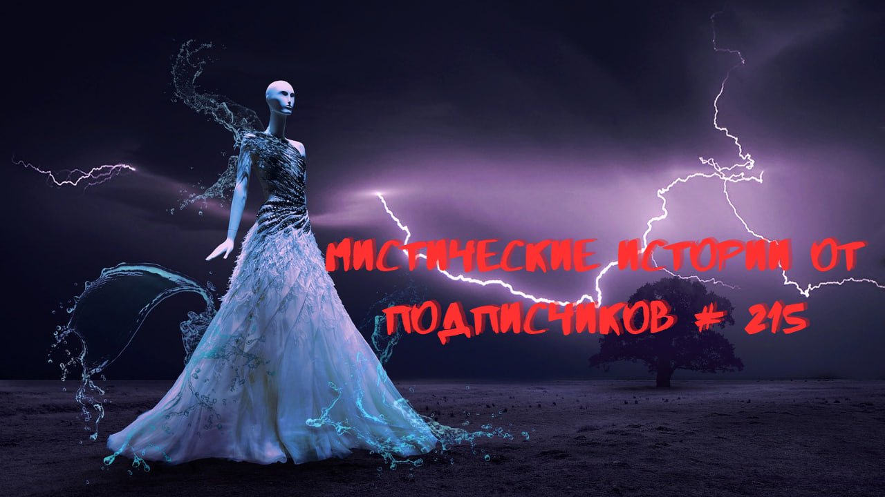 МИСТИЧЕСКИЕ-КРИМИНАЛЬНЫЕ ИСТОРИИ ОТ ПОДПИСЧИКОВ ЧАСТЬ 215