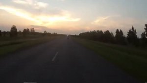 Suzuki Bandit 400 vs Honda CB 400