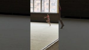 Художественная гимнастика, дети. 11 ноября 2023 г. Шкруднева Ирина, 2016 г.р.